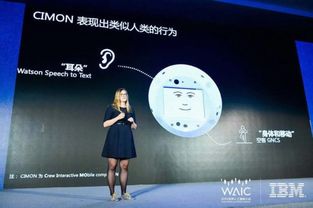 IBM论道上海人工智能大会 企业如何玩儿转人工智能